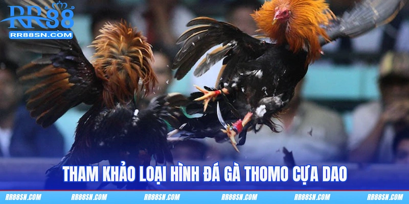 Tham khảo loại hình Đá gà Thomo cựa dao